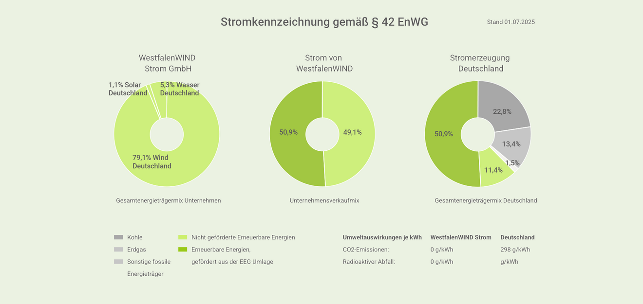 Stromkennzeichnung2025