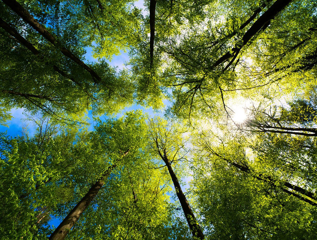 DynTarif-nurnurdas-iStock-1317323736_lowres