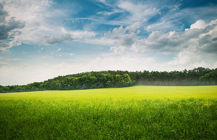 Wer_wir_sind_sauber_iStock-166048803